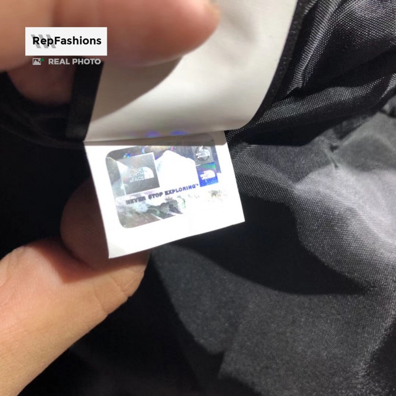 Replica Supreme The North Face Mountain Parka Hologram